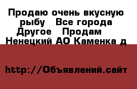 Продаю очень вкусную рыбу - Все города Другое » Продам   . Ненецкий АО,Каменка д.